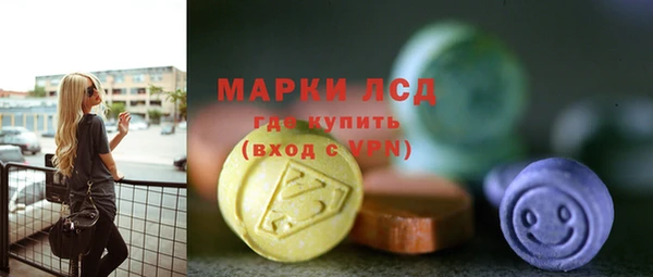 трава Няндома