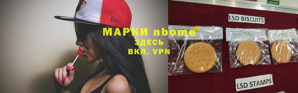 трава Няндома