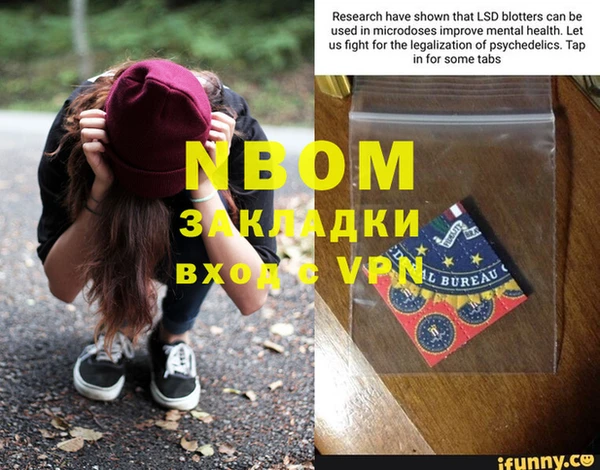 трава Няндома
