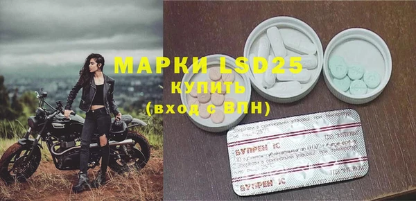 трава Няндома