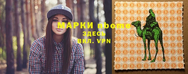 трава Няндома