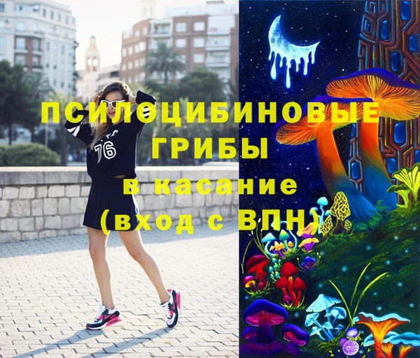 трава Няндома