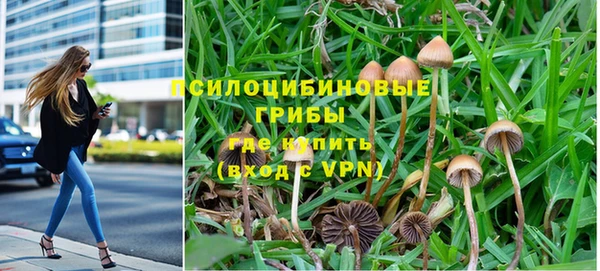 дурь Нязепетровск