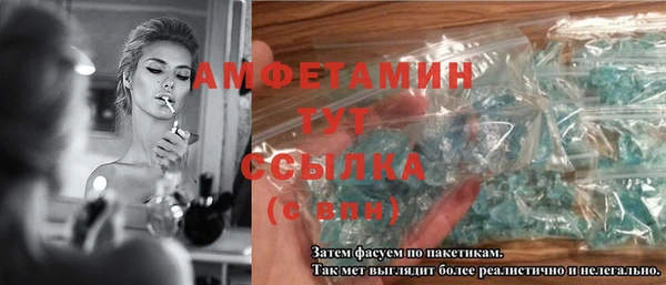 трава Няндома