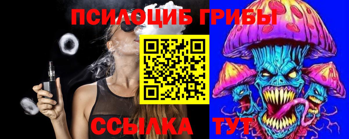 Псилоцибиновые грибы Cubensis  Дзержинск  Псилоцибиновые грибы прущие грибы 